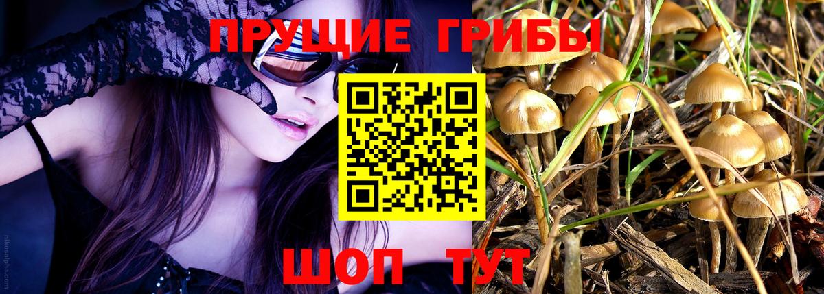 Галлюциногенные грибы GOLDEN TEACHER  Галлюциногенные грибы Psilocybine cubensis  Вход с VPN  Миасс 